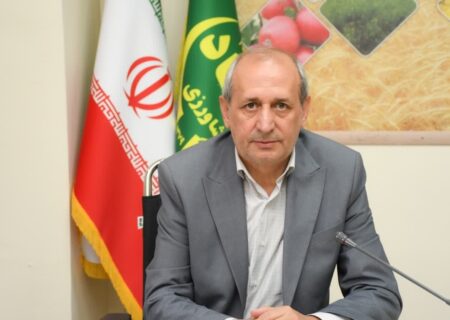 هشدار نسبت به تأخیر در پرداخت مطالبات گندم‌کاران آذربایجان‌شرقی